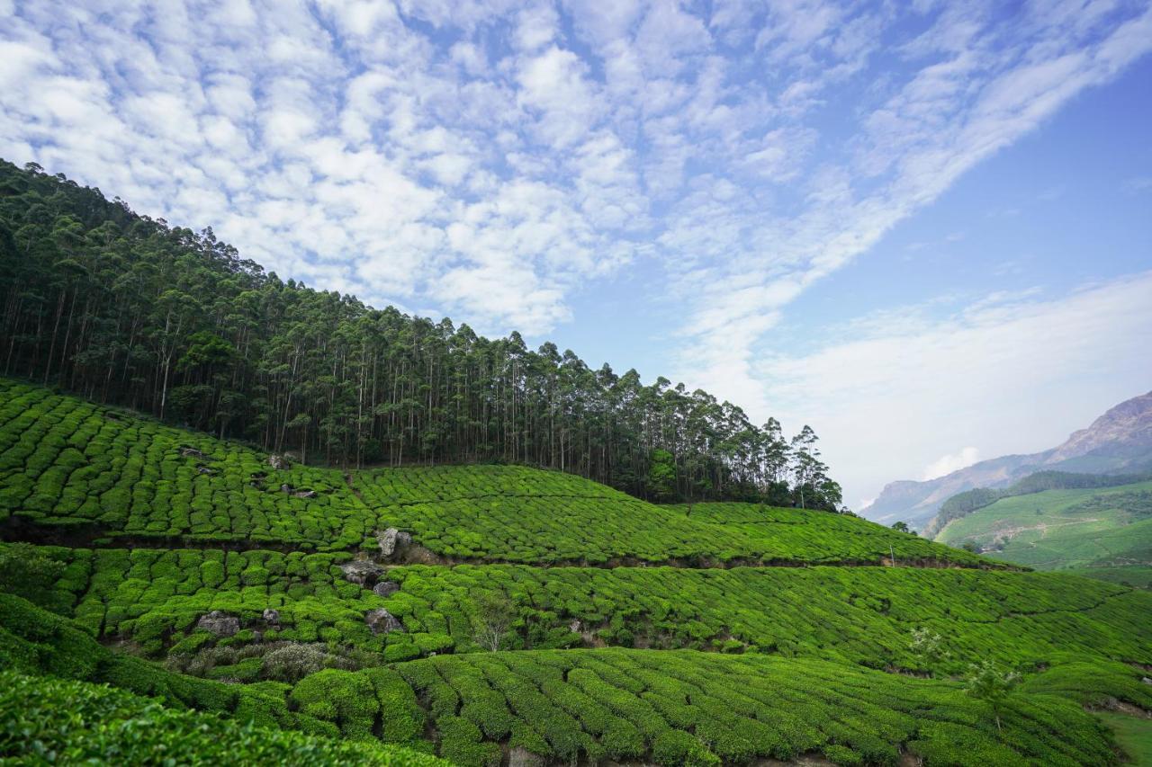 Tea Valley Resort, Munnar Exterior foto