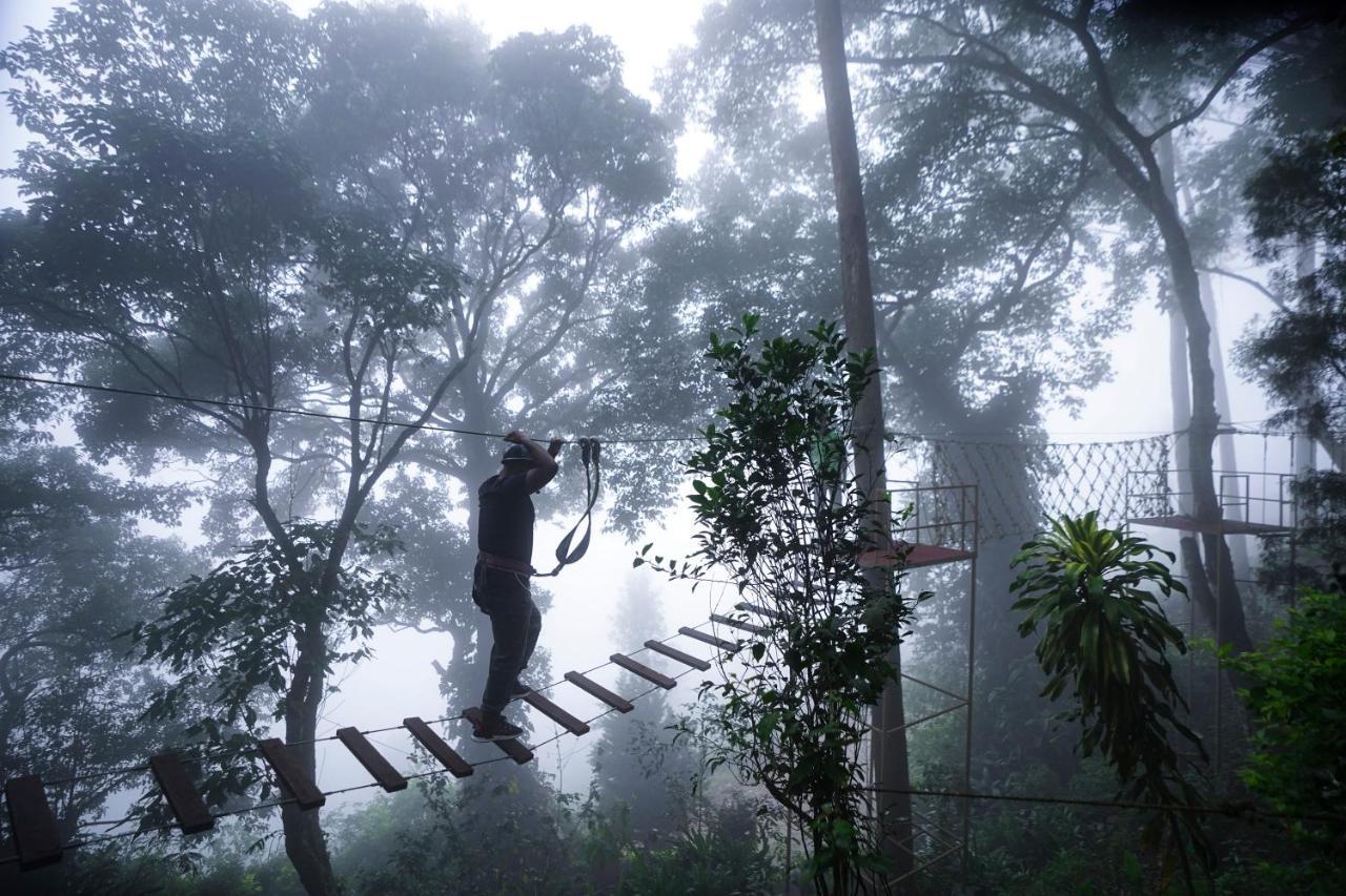 Tea Valley Resort, Munnar Exterior foto