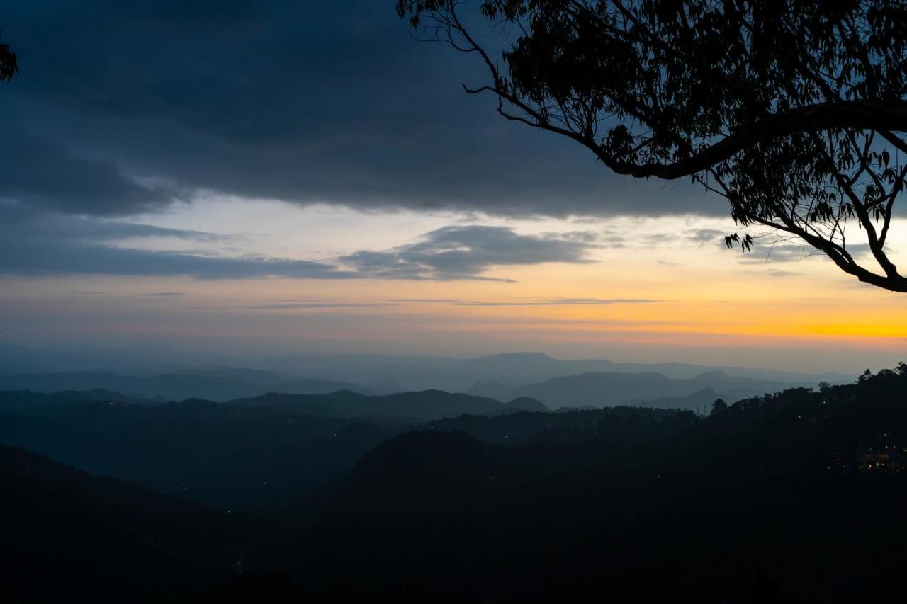 Tea Valley Resort, Munnar Exterior foto